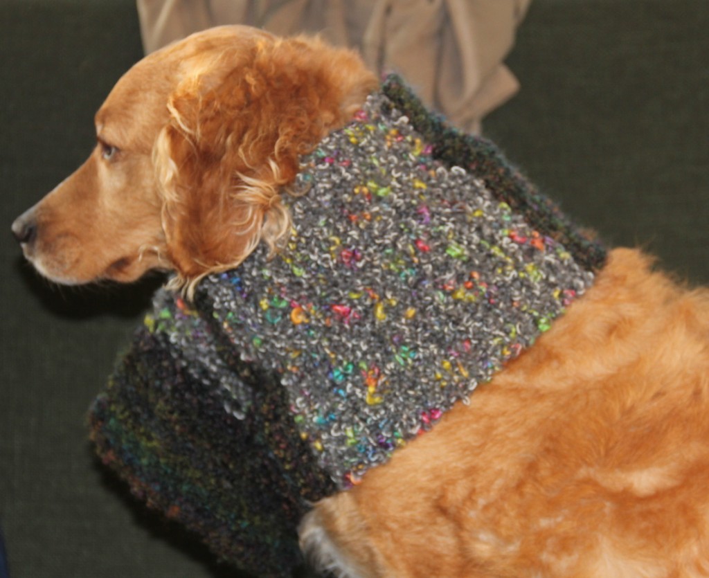 How to Knit a Neck Warmer or Scarf for a dog Needles and Know How